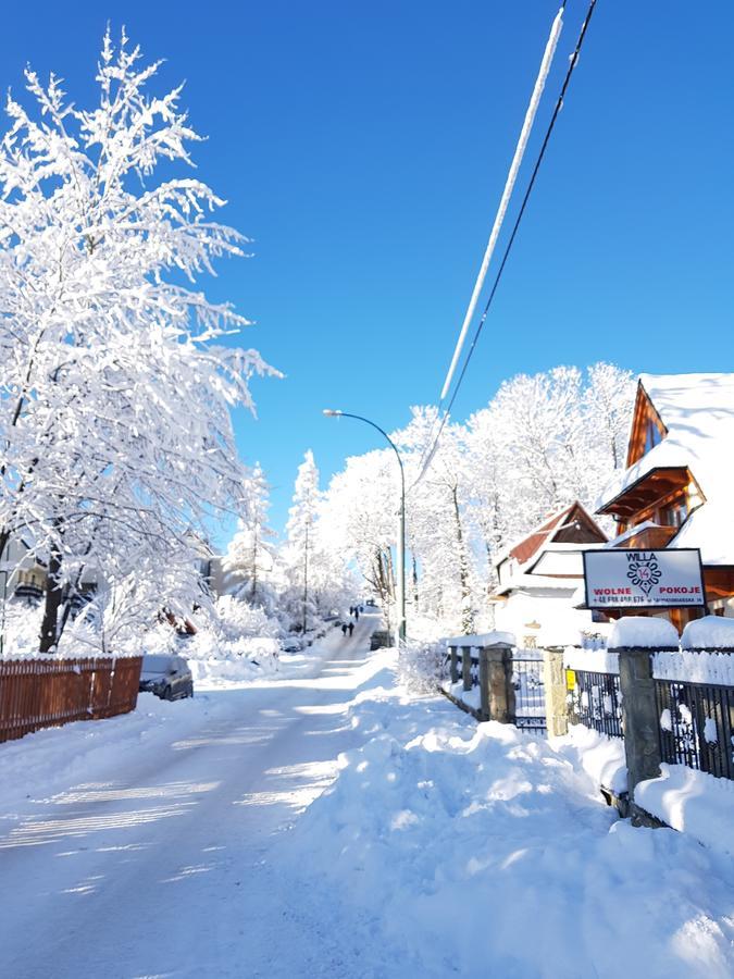 Willa 14 Zakopane Exterior photo