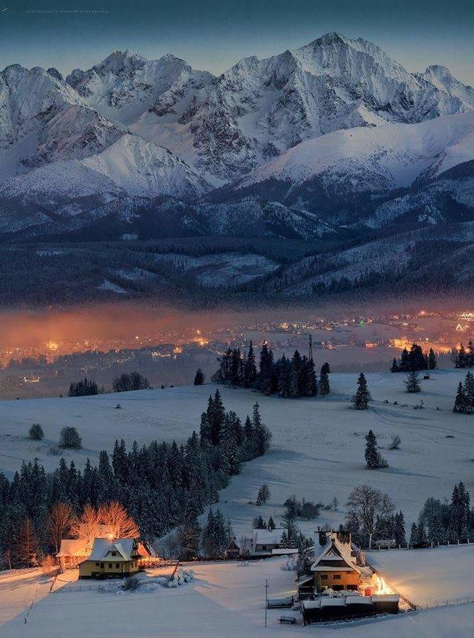 Willa 14 Zakopane Exterior photo